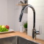 Hansgrohe Смеситель для кухни с выдвижным душем Hansgrohe Focus 31815000